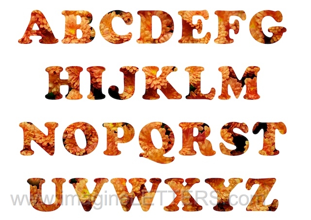 Wall_Art_Alphabet_Photography_Art_ 147.jpg